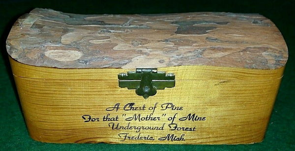 Underground Forest - Various Promos (newer photo)